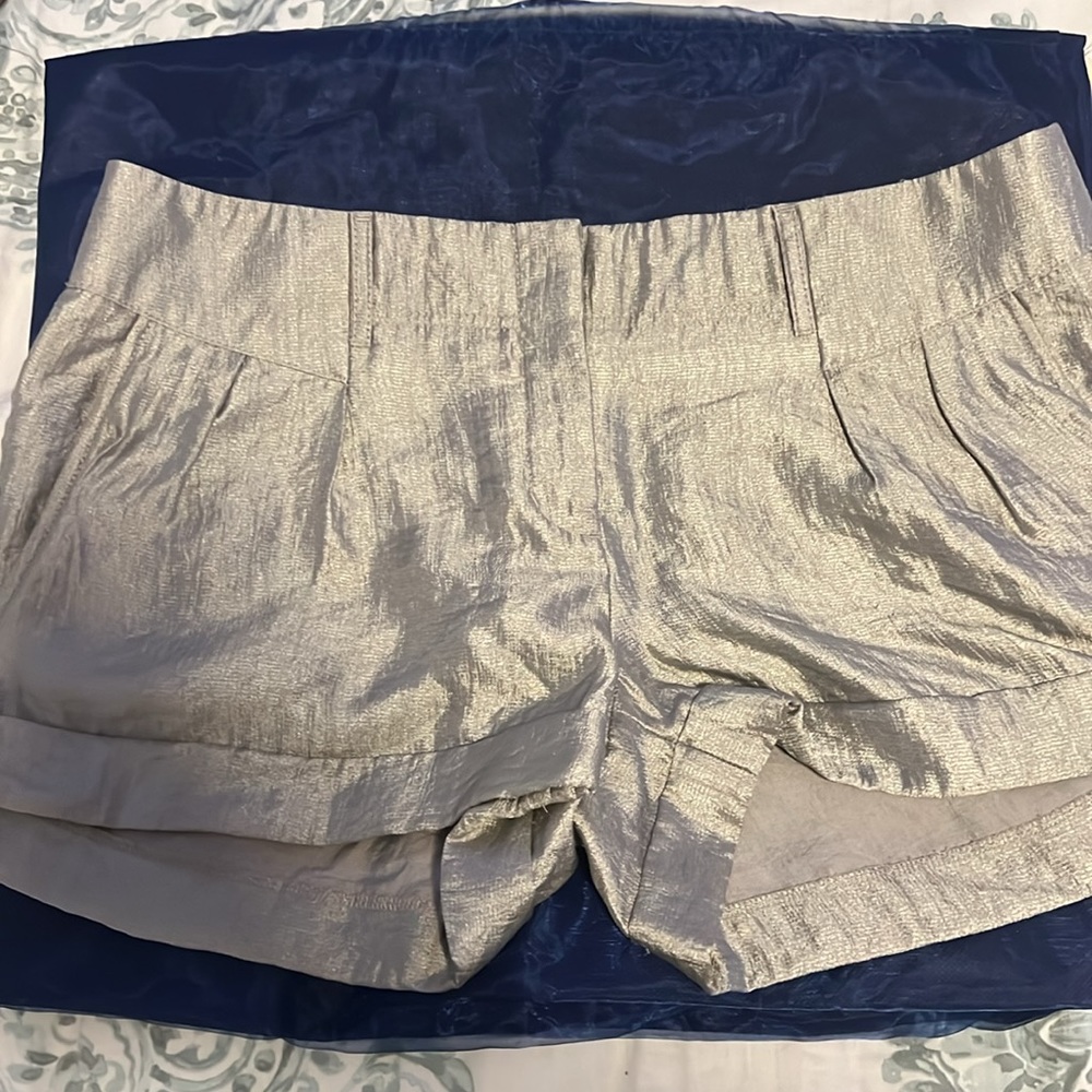 NWOT Express Silver Shorts Size 10